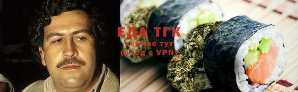индика Богородск