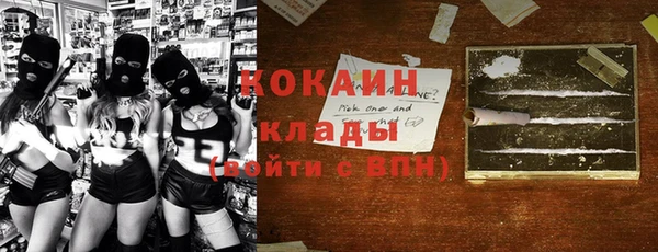 индика Богородск