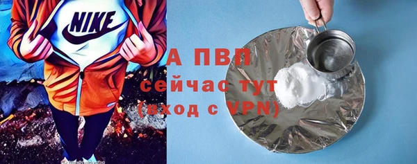 индика Богородск