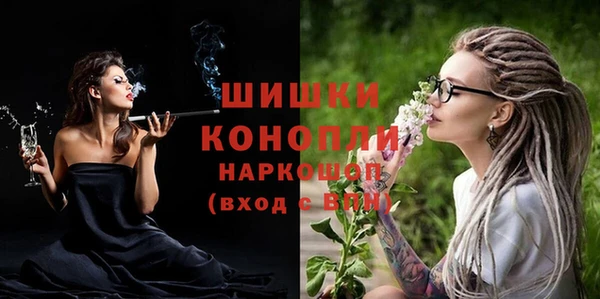 индика Богородск
