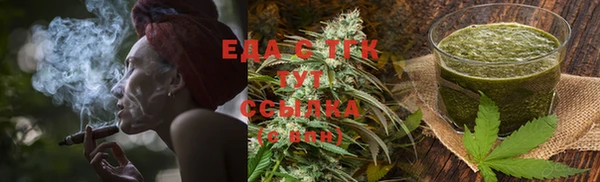 индика Богородск
