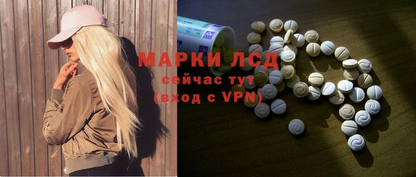 индика Богородск