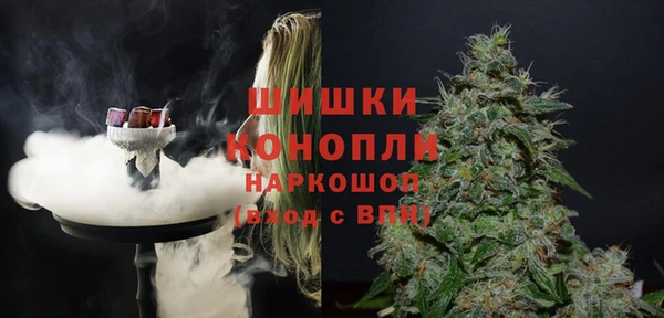 индика Богородск
